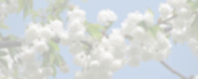 Armband Onlinehsop von Bergspitzlerin